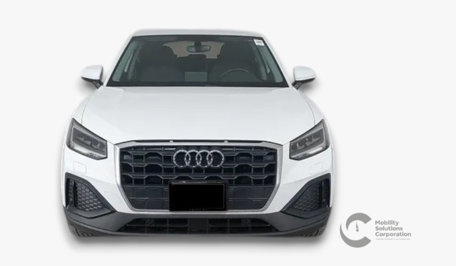 Auto 1